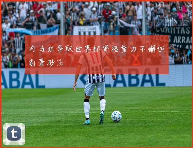 内马尔争取世界杯资格努力不懈但前景渺茫