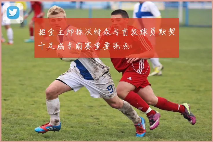 掘金主帅称沃特森与首发球员默契十足成季前赛重要亮点
