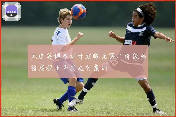 大连英博冬训计划曝光第二阶段或将启程土耳其进行集训