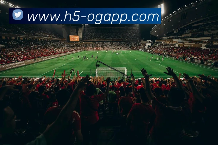 OG真人平台生态图